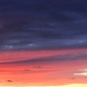 Meet your Posher, Blueberry